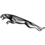 Jaguar Logo
