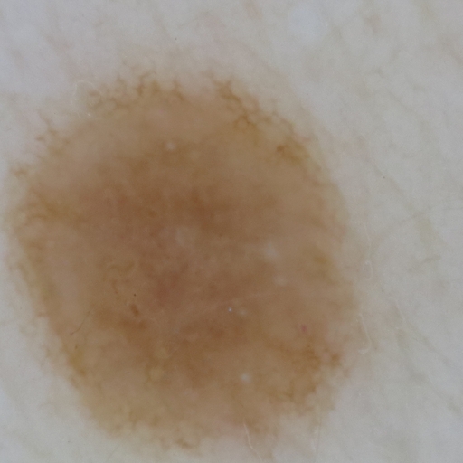 Segmentation of people in the photo